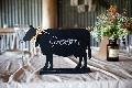 B-AT_039.jpg wedding photography southern highlands